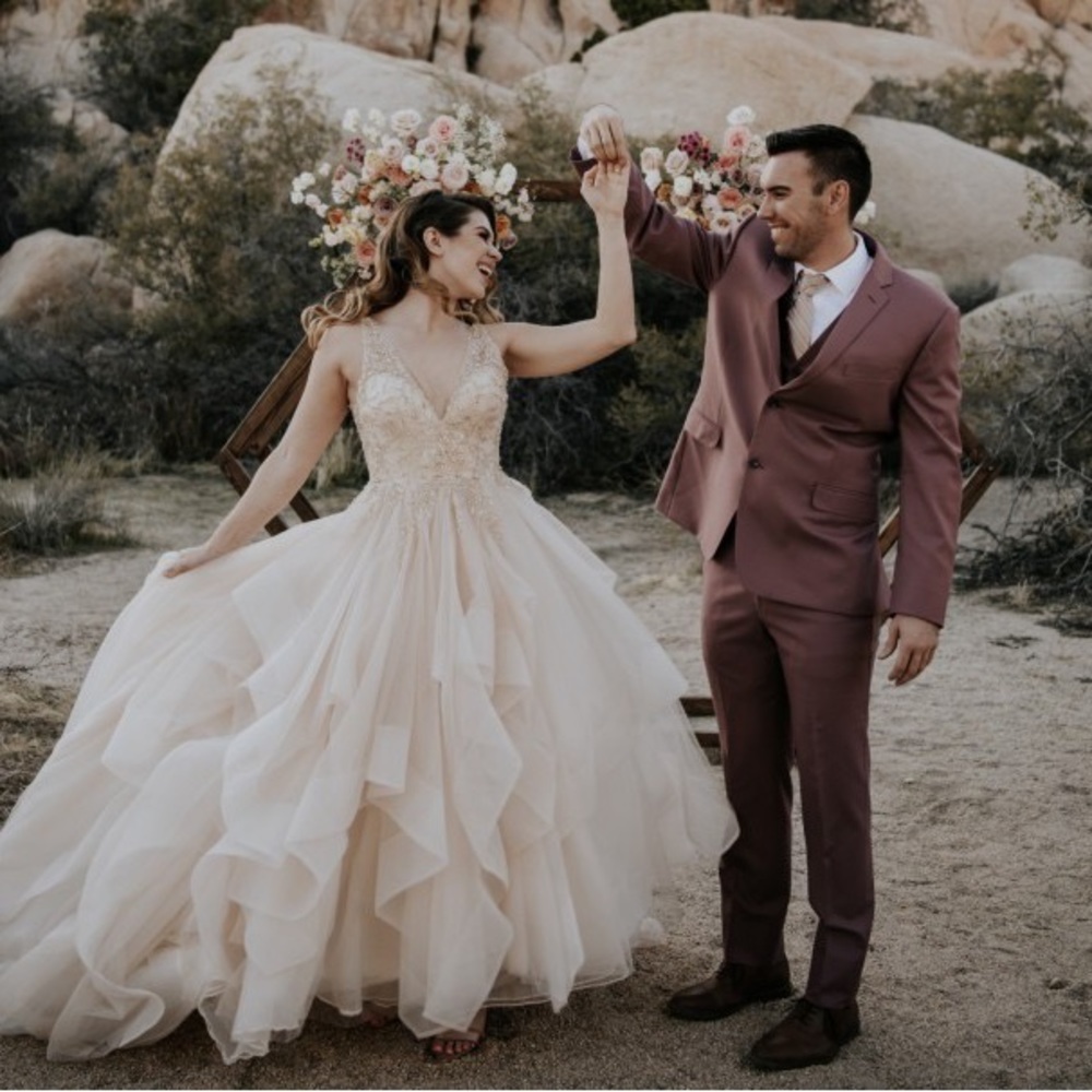 Sottero and Midgley Amelie Wedding DRESS & VEIL Bridal Ivory VNeck Princess 2